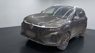 Mg • RX5
