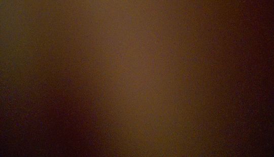 Renault • Sandero Stepway