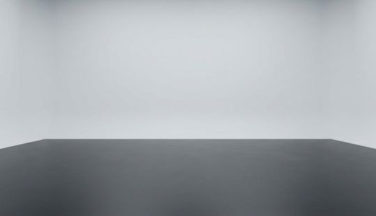 Peugeot • 208
