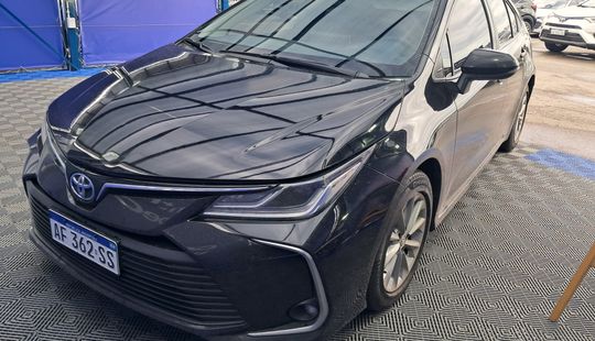 Toyota • Corolla
