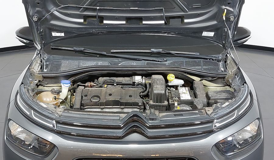 Citroen C4 Cactus 1.6 VTI 120 FLEX FEEL Suv 2019