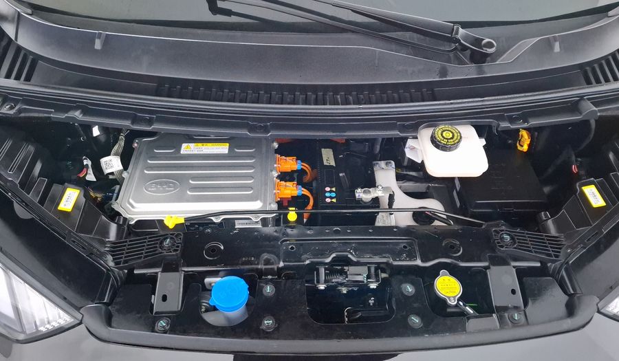 Byd Dolphin Mini BEV 38KWH PLUS AUTO Hatchback 2025