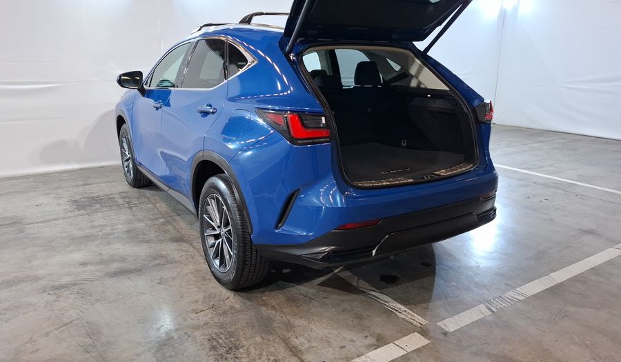 Lexus Nx 2.5 250 AUTO AWD Suv 2022