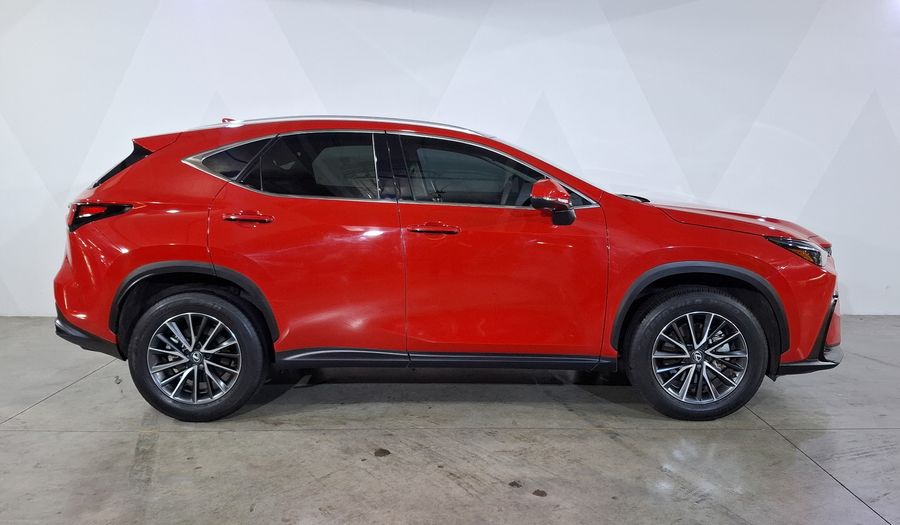 Lexus Nx 2.5 250 AUTO AWD Suv 2024