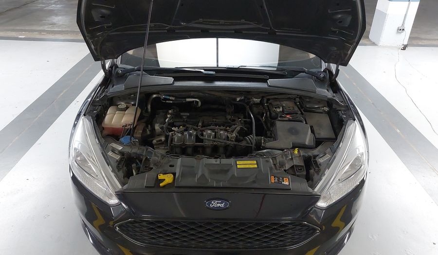 Ford Focus 1.6 SE PLUS Hatchback 2016