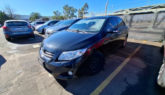 Toyota • Corolla