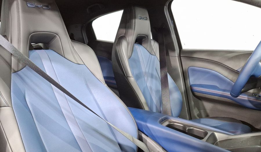 Byd Dolphin Mini BEV 38KWH PLUS AUTO Hatchback 2026