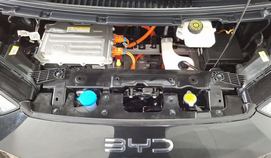 Byd Dolphin Mini BEV 38KWH PLUS AUTO Hatchback 2026