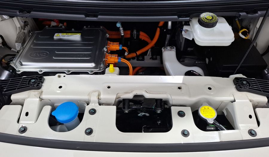 Byd Dolphin Mini BEV 38KWH PLUS AUTO Hatchback 2026