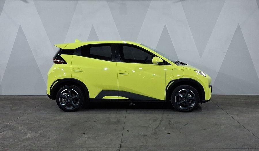 Byd Dolphin Mini BEV 38KWH PLUS AUTO Hatchback 2024