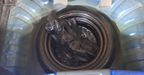 Nissan March 1.6 SENSE Hatchback 2019