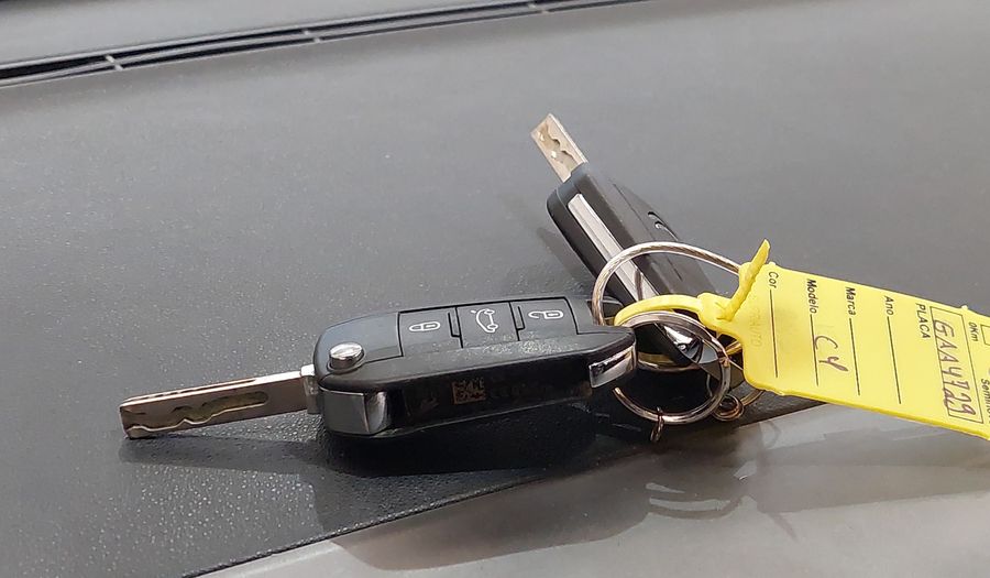 Citroen C4 Cactus 1.6 VTI 120 FLEX FEEL AUTO Suv 2019