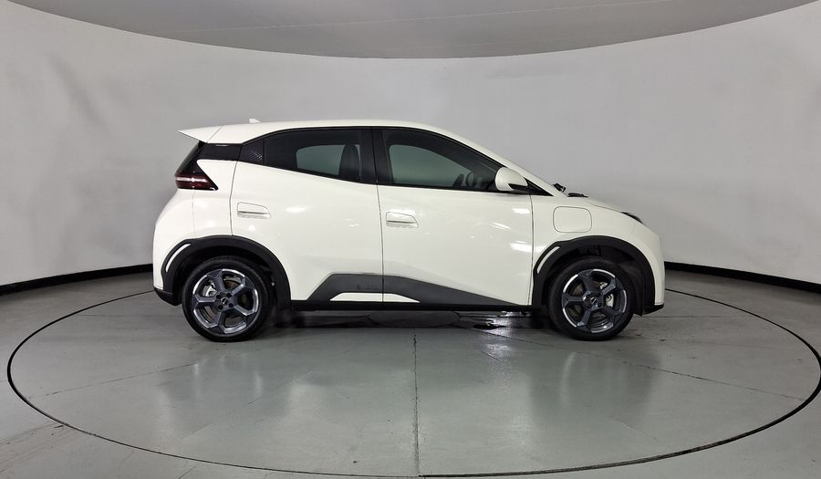 Byd Dolphin Mini BEV 38KWH PLUS AUTO Hatchback 2025