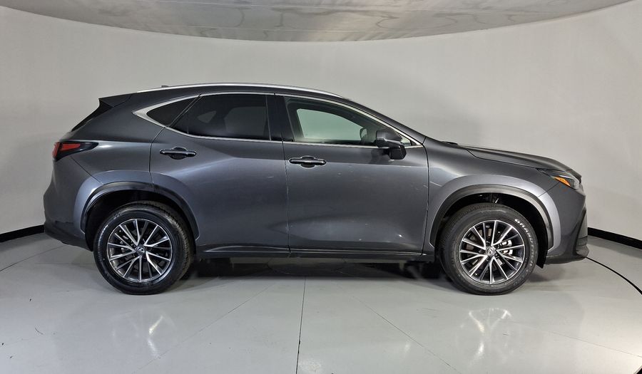 Lexus Nx 2.5 250 AUTO AWD Suv 2023