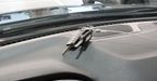 Jeep Compass 2.0 SPORT AUTO Suv 2019