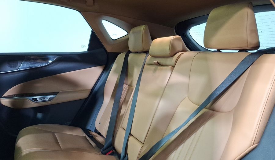 Lexus Nx 2.5 250 AUTO AWD Suv 2022
