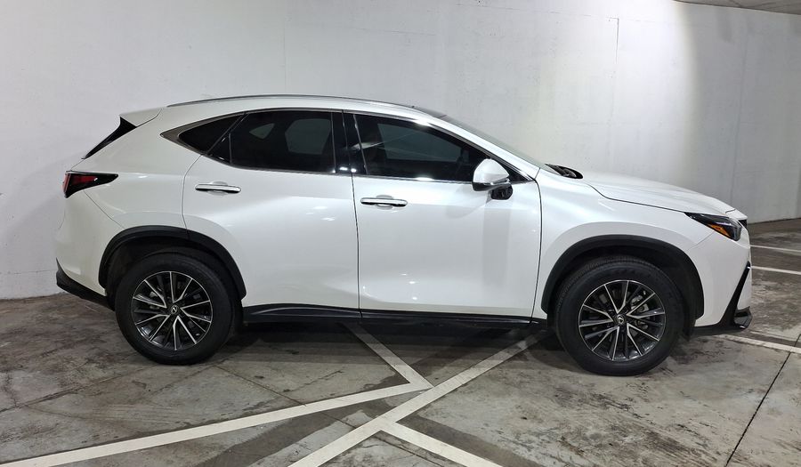 Lexus Nx 2.5 250 AUTO AWD Suv 2022