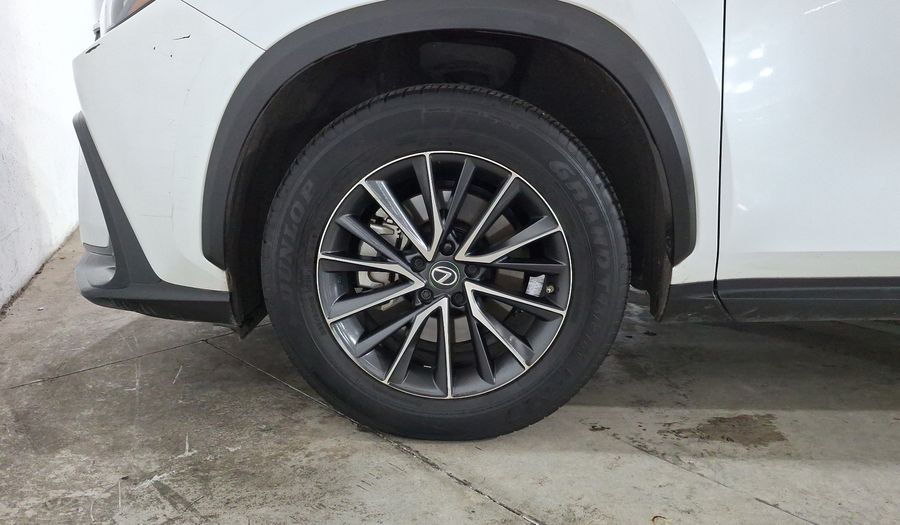 Lexus Nx 2.5 250 AUTO AWD Suv 2022