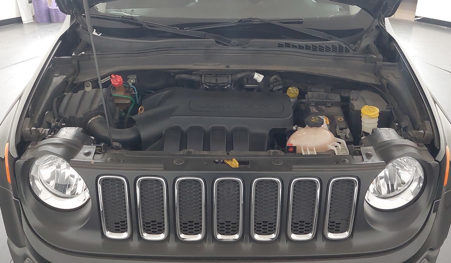 Jeep Renegade 1.8 E.TORQ FLEX SPORT Suv 2016