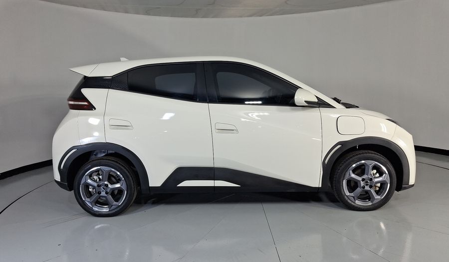 Byd Dolphin Mini BEV 38KWH PLUS AUTO Hatchback 2025