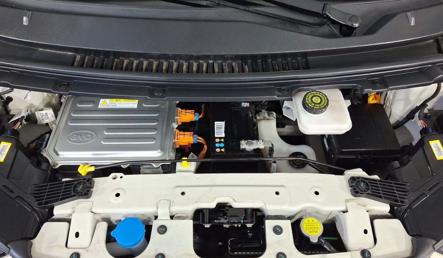 Byd Dolphin Mini BEV 38KWH PLUS AUTO Hatchback 2025