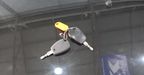 Renault Clio 1.1 CONFORT PLUS Hatchback 2014