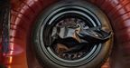 Nissan March 1.6 ADVANCE AUTO Hatchback 2024