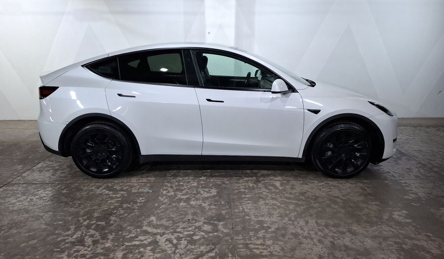 Tesla Model Y BEV LONG RANGE AUTO 4WD Suv 2024