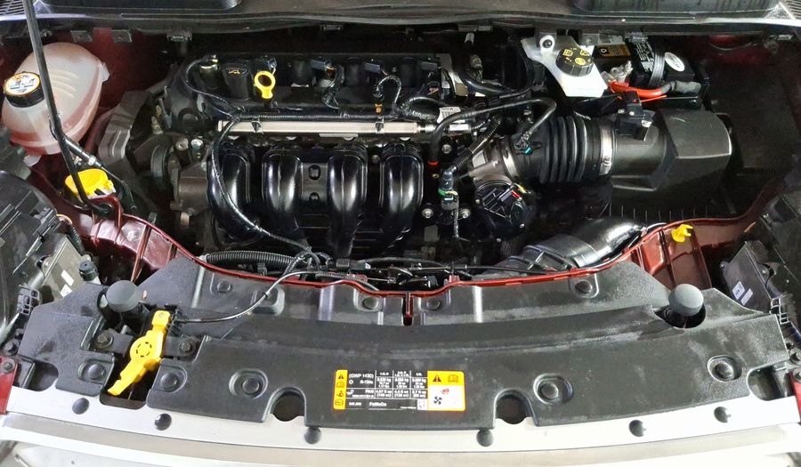 Ford Escape 2.5 S PLUS AUTO Suv 2019