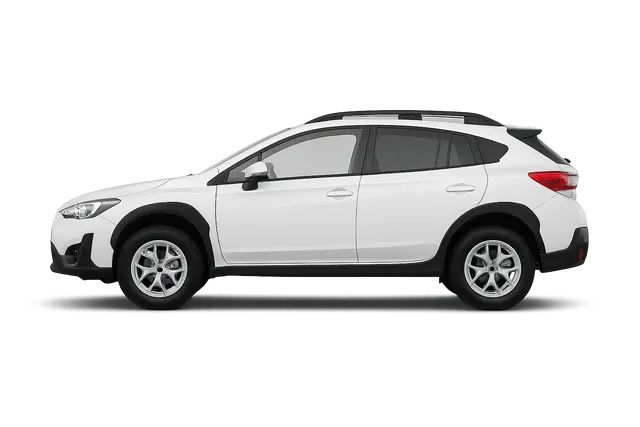 Xv