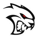 Srt logo