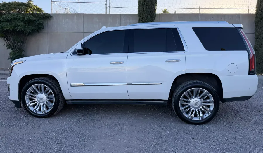 Cadillac Escalade 6.2 SUV P PLATINUM AUTO 4WD Suv 2018