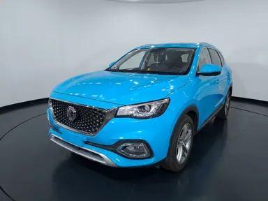 Mg Hs