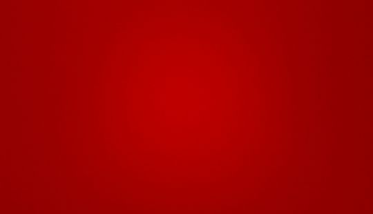 Renault • Sandero Stepway