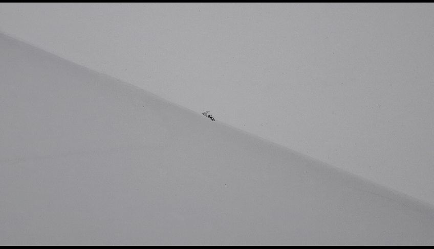 Slide 6