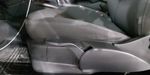 Audi A1 1.4 TFSI COOL S TRONIC Hatchback 2013