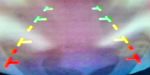 Infiniti Qx50 2.0 SENSORY X-TRONIC AWD Suv 2022