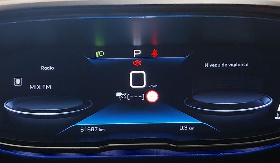 Peugeot 3008 GRIFFE PACK THP Suv 2020