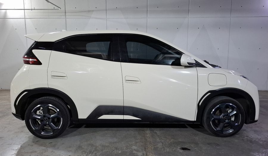 Byd Dolphin Mini BEV 38KWH PLUS AUTO Hatchback 2024
