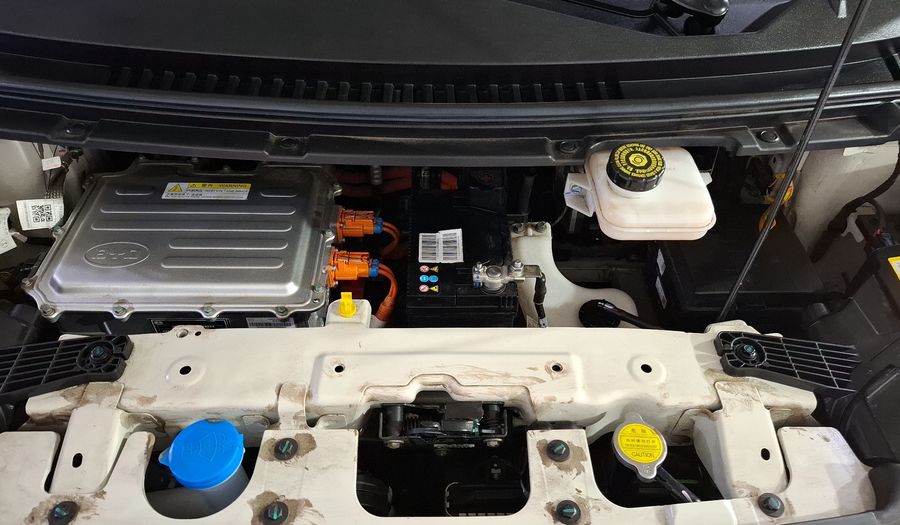 Byd Dolphin Mini BEV 38KWH PLUS AUTO Hatchback 2024
