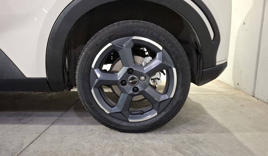 Byd Dolphin Mini BEV 38KWH PLUS AUTO Hatchback 2024