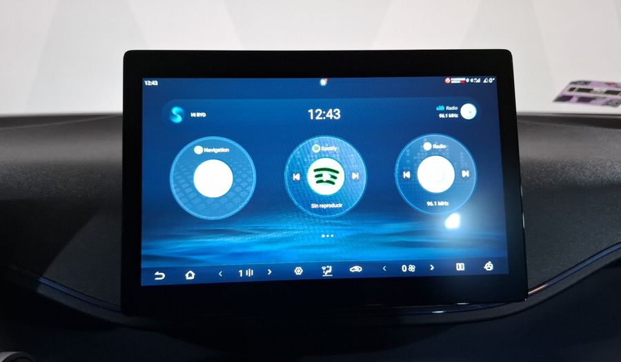 Byd Dolphin Mini BEV 38KWH PLUS AUTO Hatchback 2024