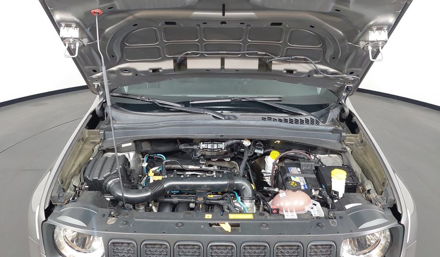 Jeep Renegade 1.8 FLEX Suv 2021