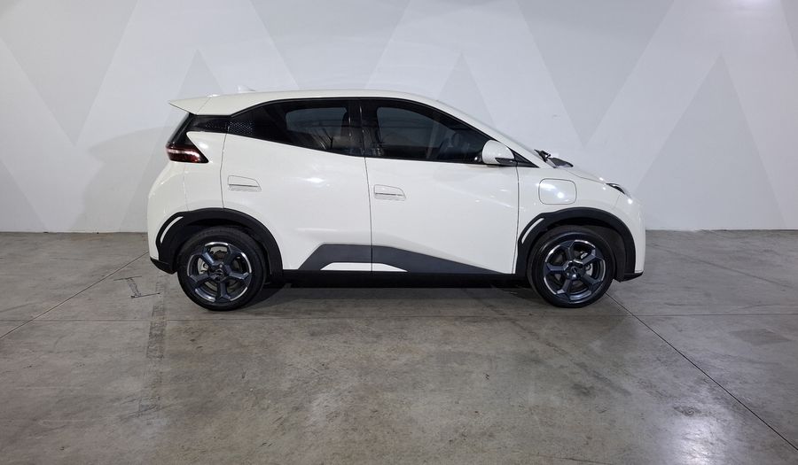 Byd Dolphin Mini BEV 38KWH PLUS AUTO Hatchback 2024