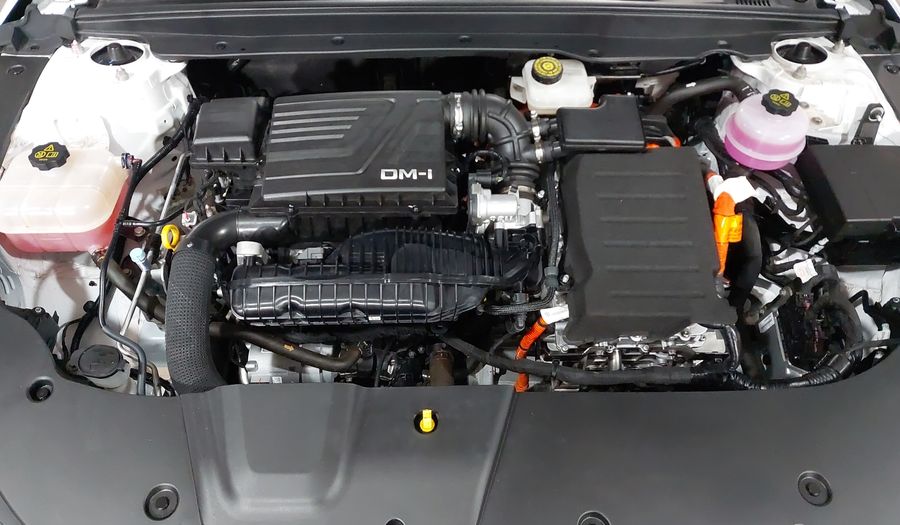 Byd King 1.5 PHEV DM-I 55KM AUTO Sedan 2024