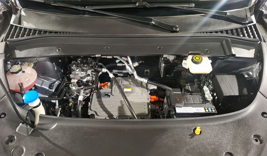 Byd Yuan Plus BEV 150KWH AUTO Suv 2024