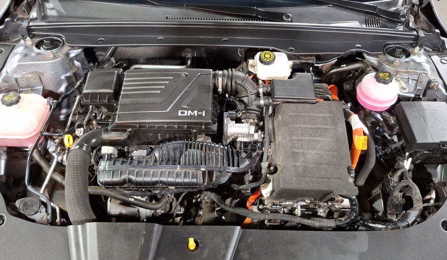 Byd King 1.5 PHEV DM-I 55KM AUTO Sedan 2024