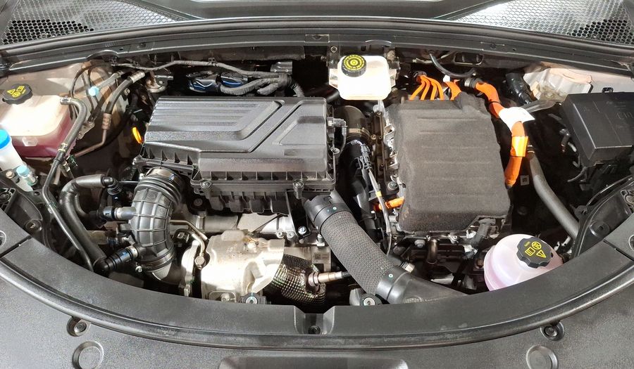 Byd Song Plus 1.5 DM-I AUTO Suv 2024