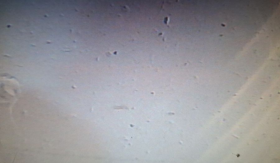 Renault Kwid 1.0 ICONIC Hatchback 2021