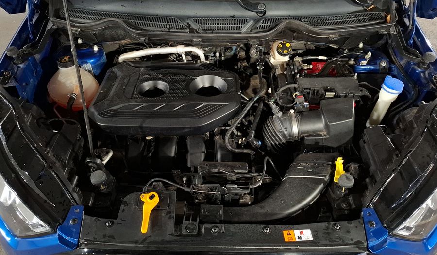 Ford Ecosport 2.0 TREND STORM AUTO Suv 2021